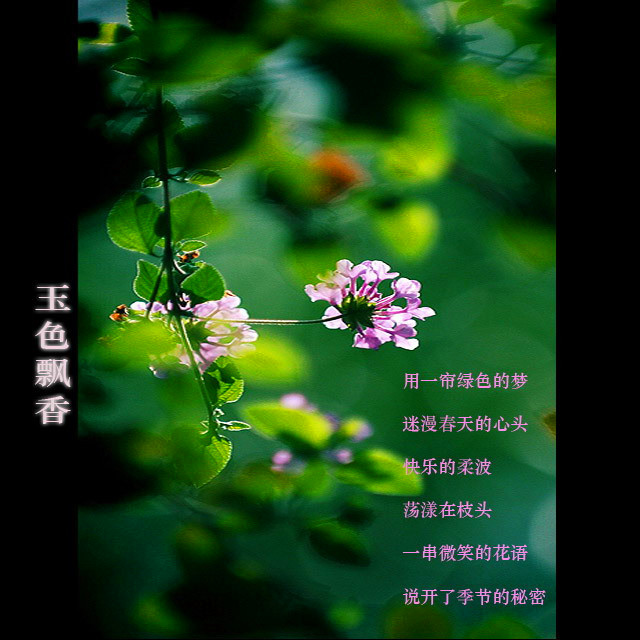 1554304821413031744_.jpg