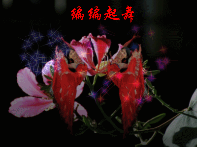 20091118192238_conew29.gif