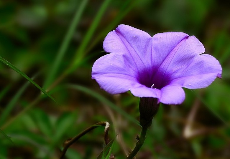 20091118192238_conew756.jpg