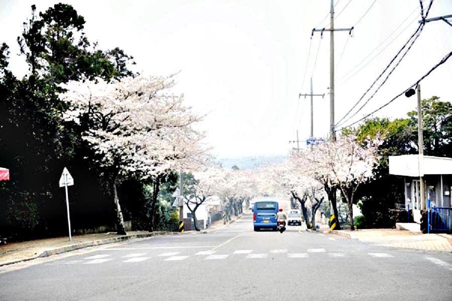 Img397180007.jpg