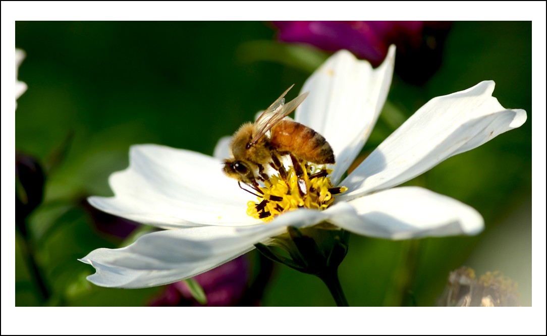 DSC_7314_conew1.jpg