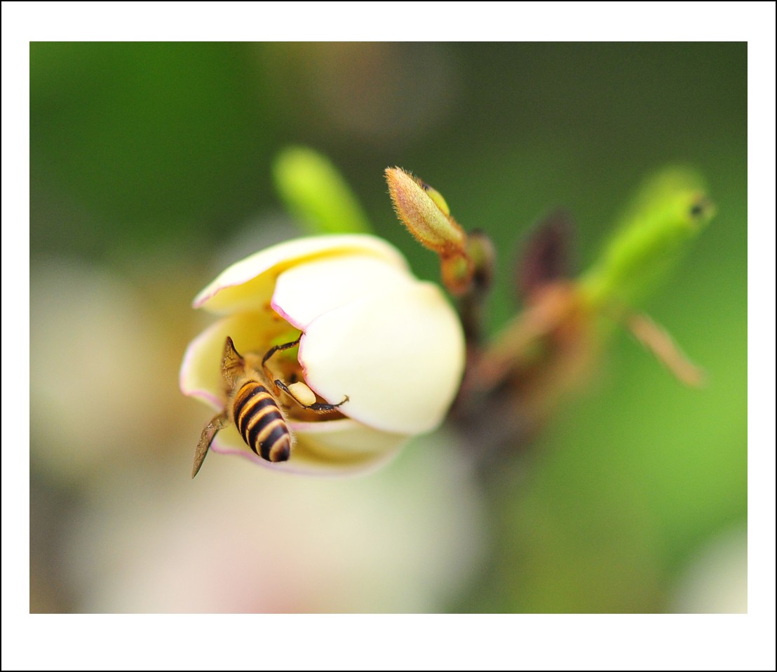 DSC_3672_conew1.jpg