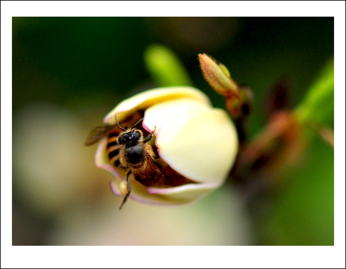 DSC_3650_conew1.jpg