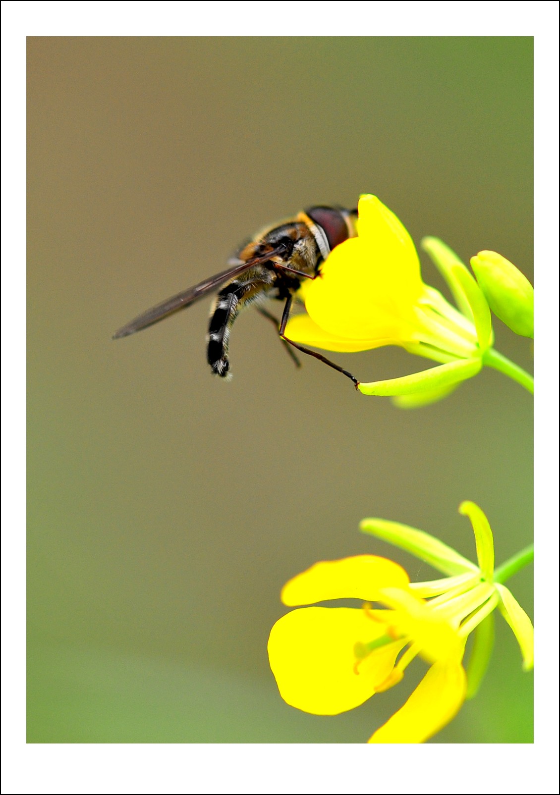 DSC_5169_conew1.jpg