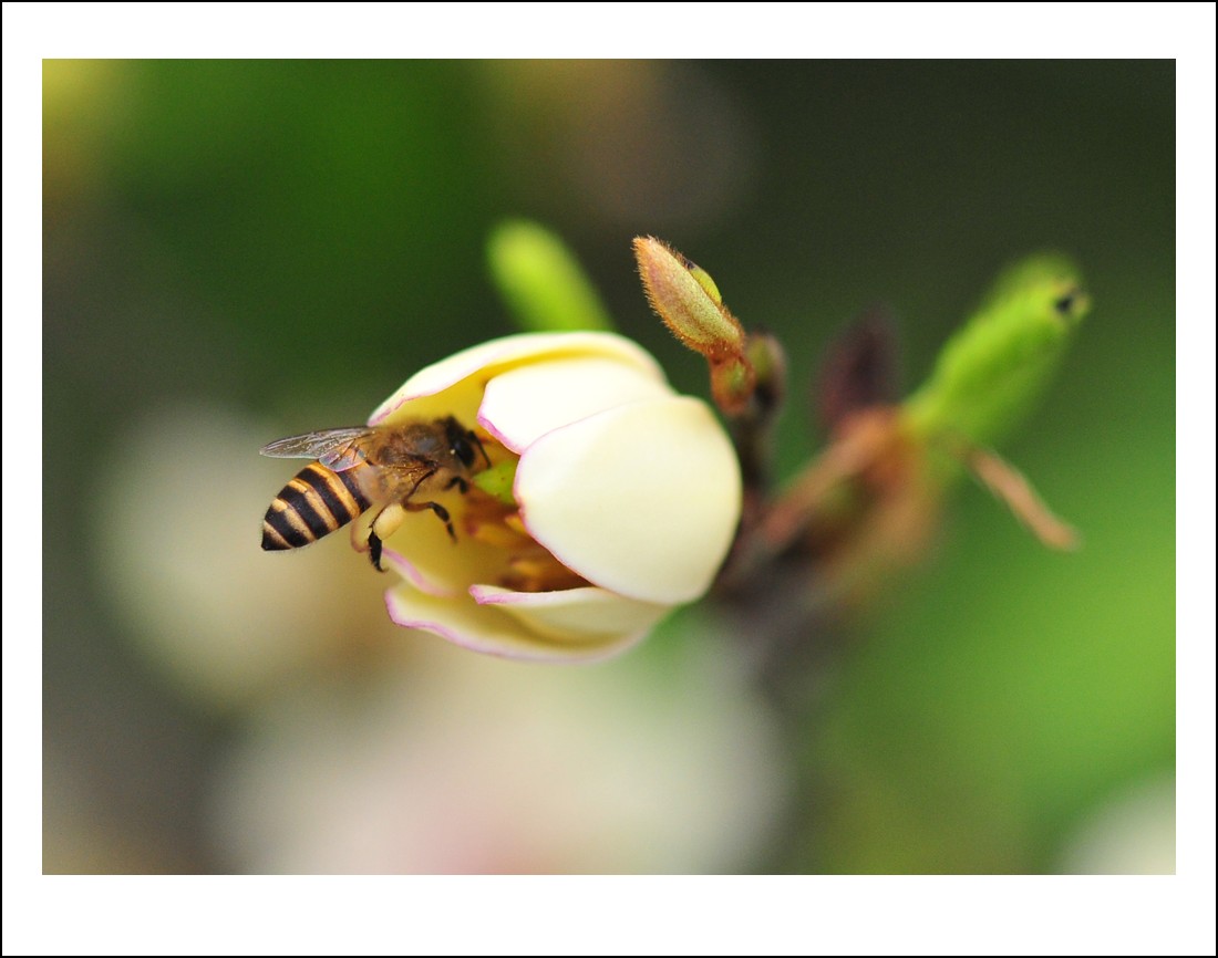 DSC_3679_conew1.jpg