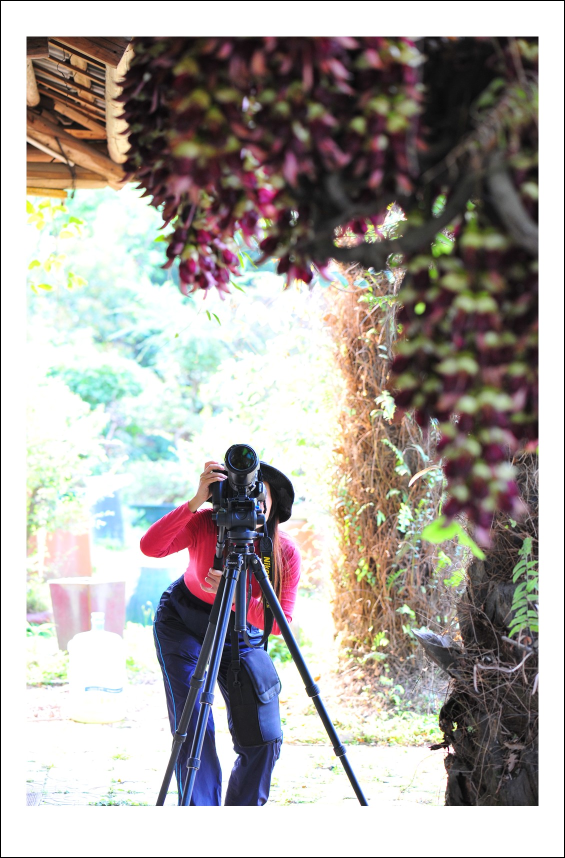 DSC_6978_conew1.jpg