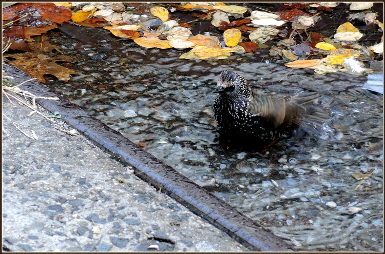 DSCN8709.jpg