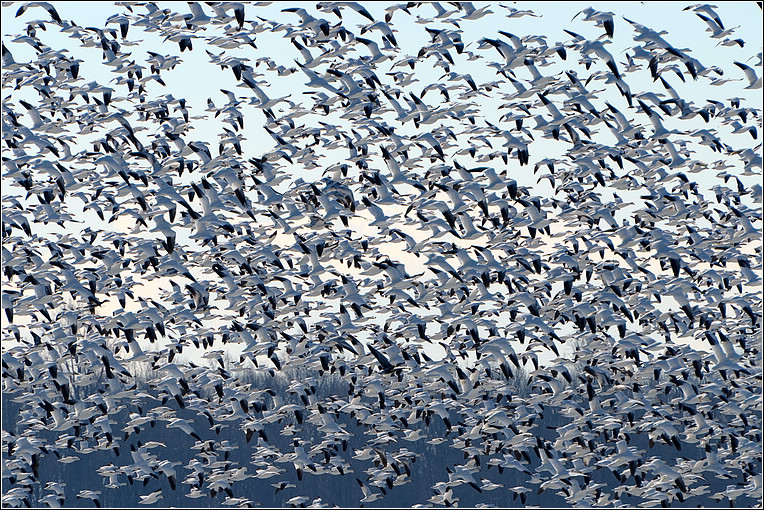 DSC_6319.jpg