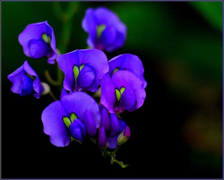 DSC_2794.jpg