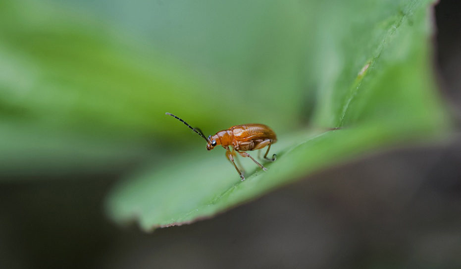 DSC_8625.jpg