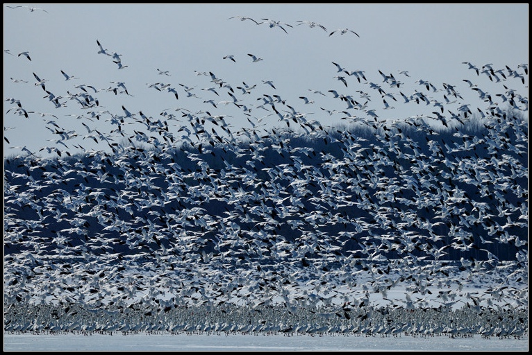 DSC_2683.jpg