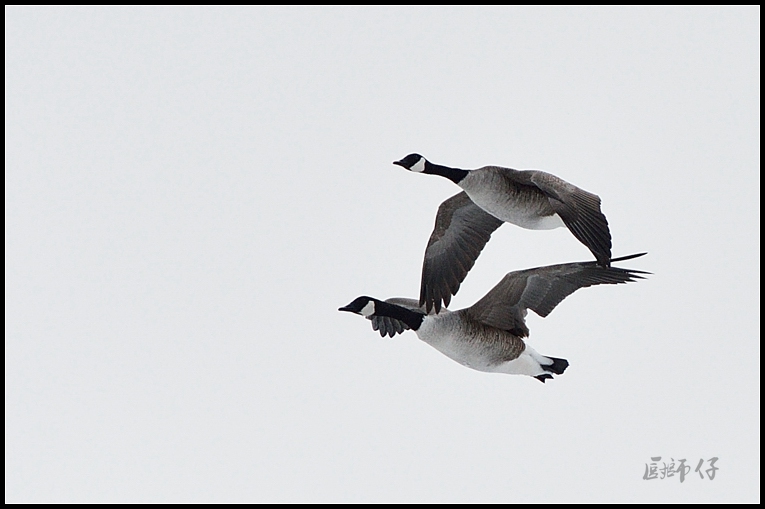 DSC_4358.jpg
