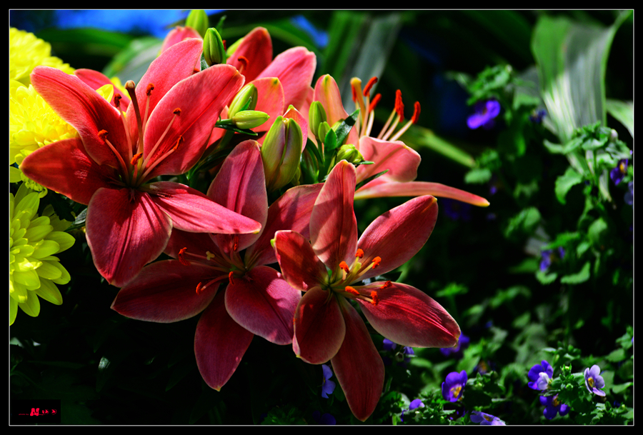 DSC_8439_����.jpg