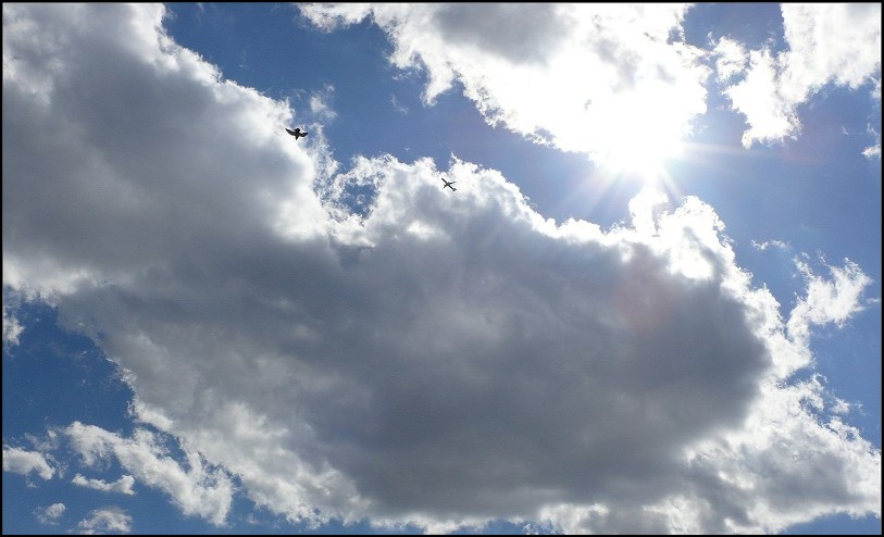 l1310006_conew3.jpg