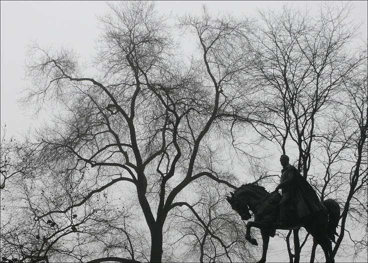 l1250692_conew1.jpg