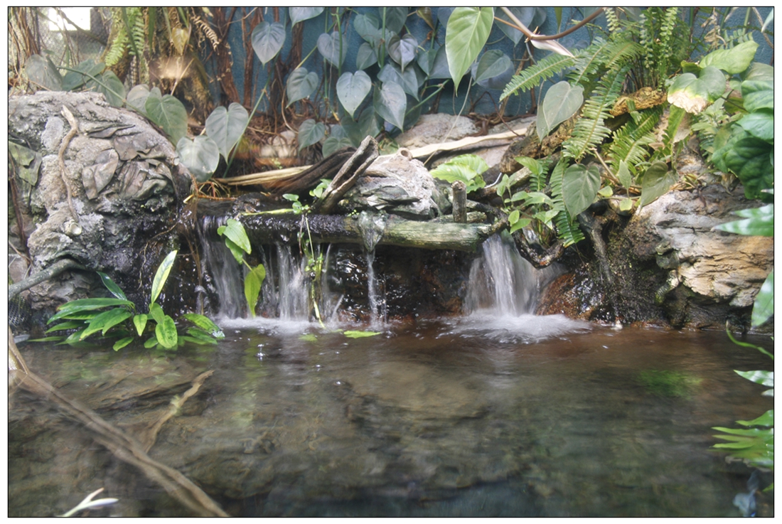 _MG_0280.JPG
