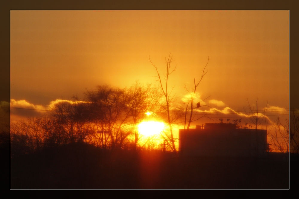 _MG_0007.jpg