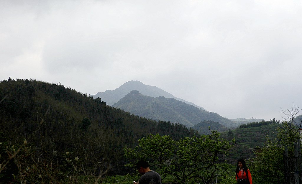 IMG_9465.jpg