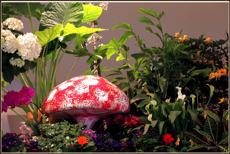 DSCN1270.jpg