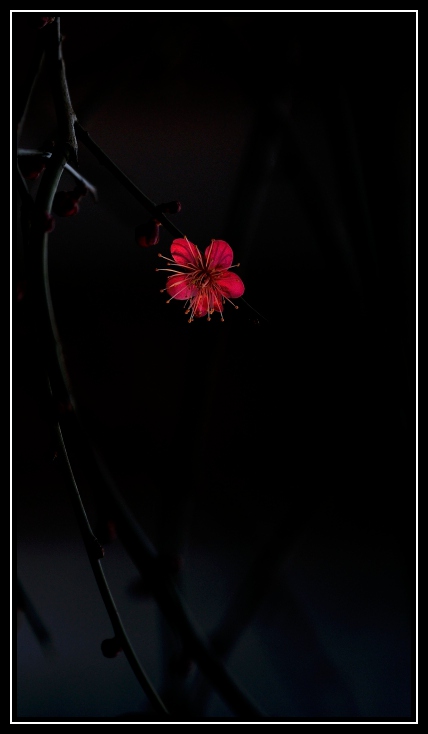 _DSC5630_01_����.jpg