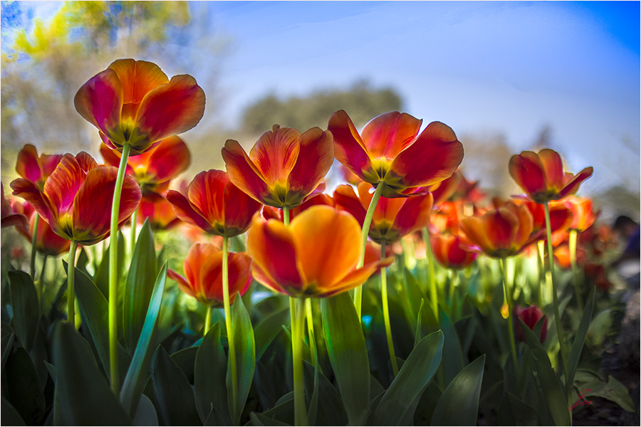 2_1834_fd02355663dab3b.jpg