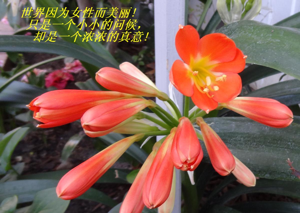 ΪŮԶ! ֻһССʺȴһŨŨ!.JPG