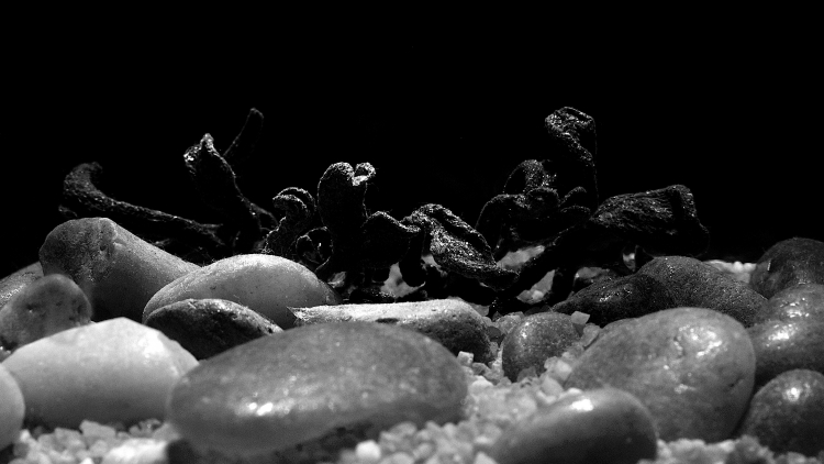 _DSC4072_01.JPG