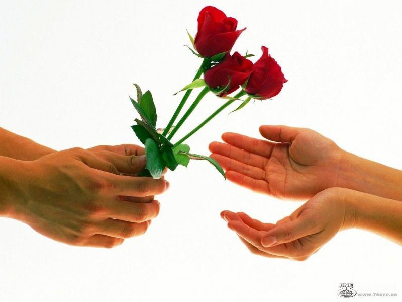 103_6638_7014eaacc08d55a.jpg