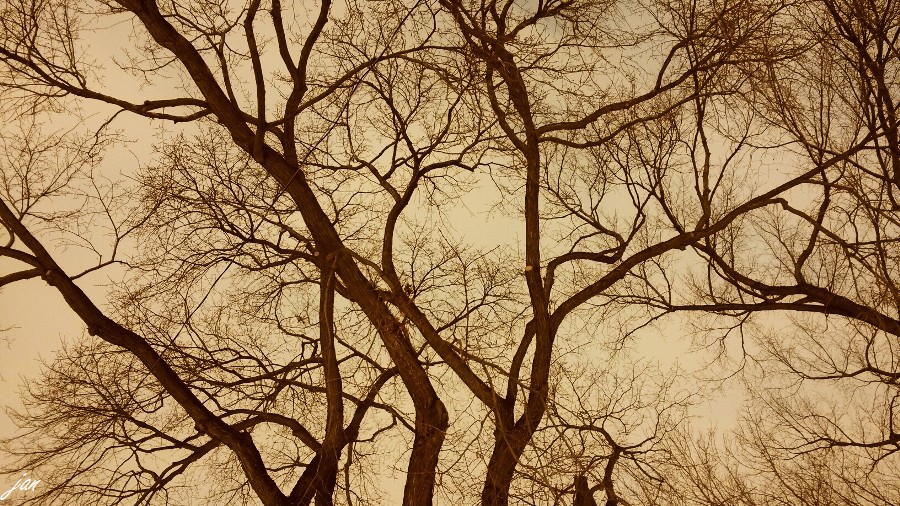 nEO_IMG_2014-02-21 15.28.24.jpg