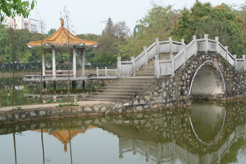 P1100621.jpg