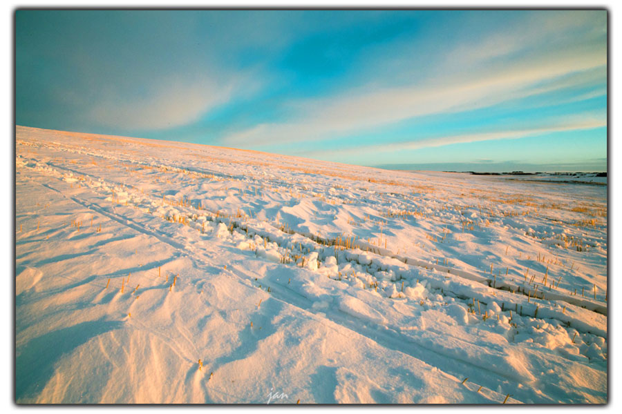 90_3812_4ab1fdc0ad5439a.jpg