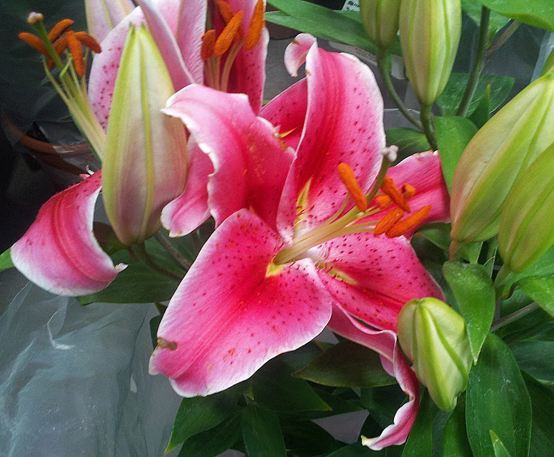2012-06-18 14.39.09.jpg
