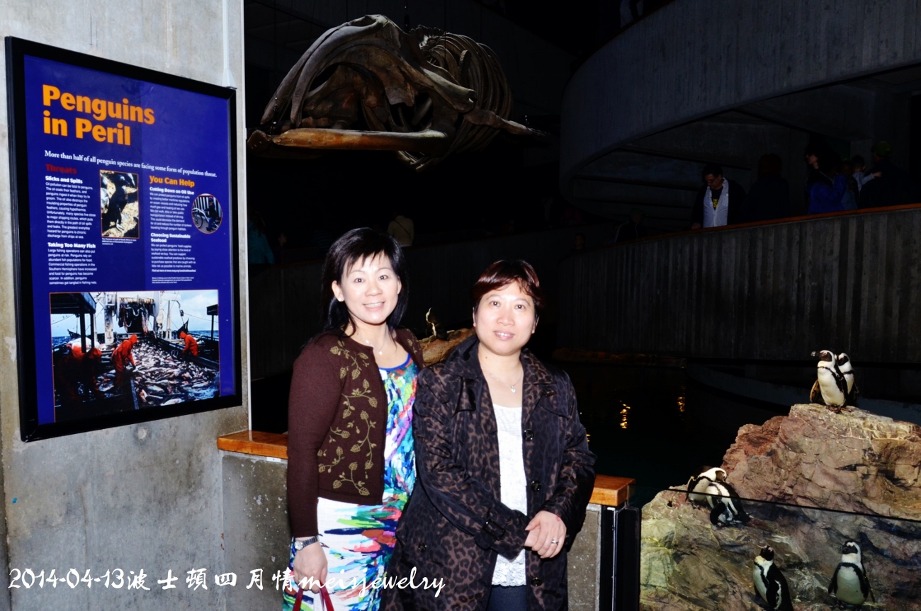 DSC_6039 (1300x863).jpg