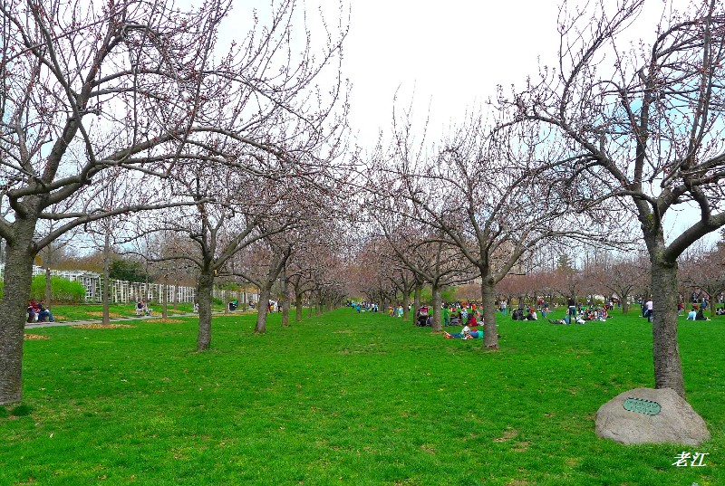 P1070442.jpg