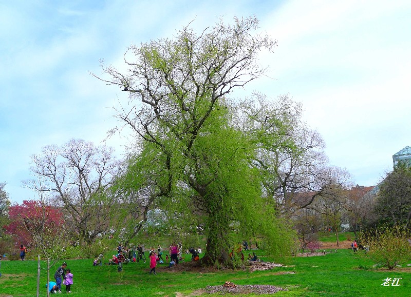 P1070439.jpg