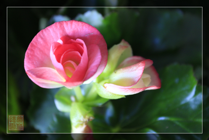 20140331 040_1.jpg