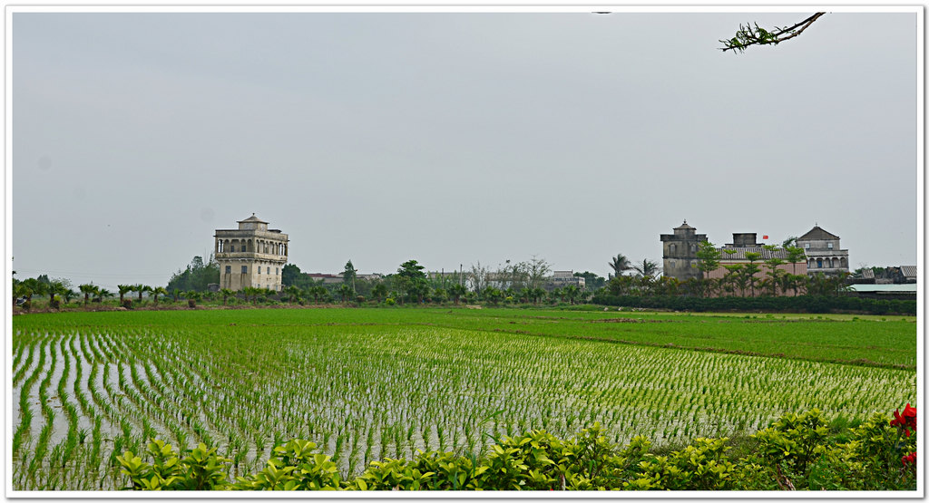 DSC_1618.jpg