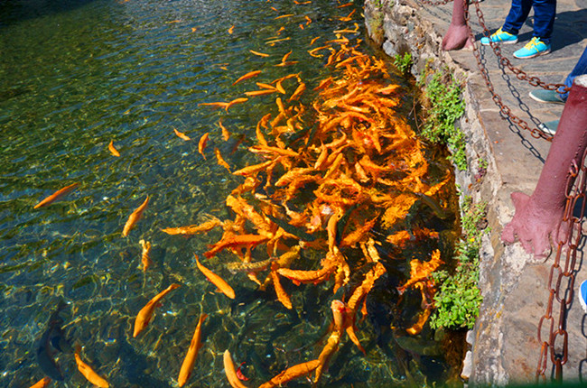 DSC03582___.jpg