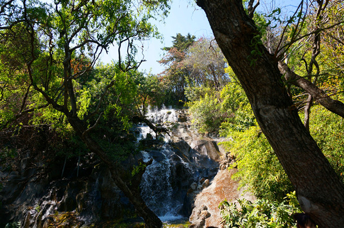 DSC03459__.jpg