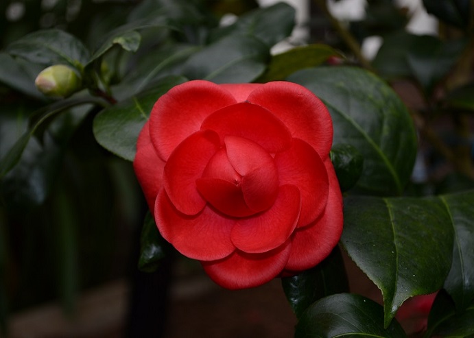 DSC_0257.JPG