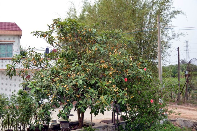 DSC_1068_conew2.jpg