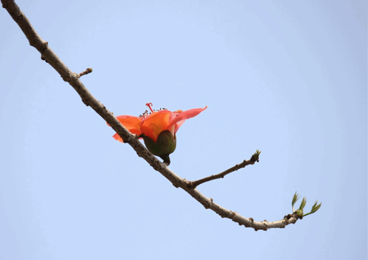ľ޻1_conew6.gif