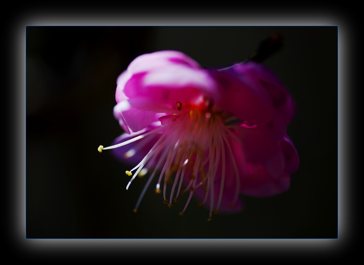 DSC_9029.jpg