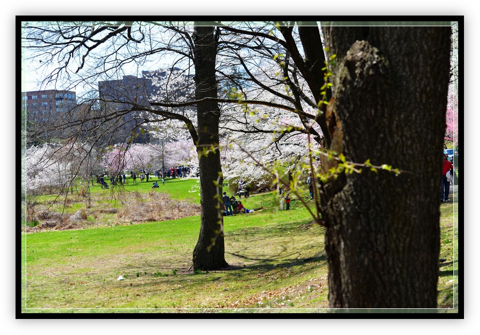 DSC_0725.jpg