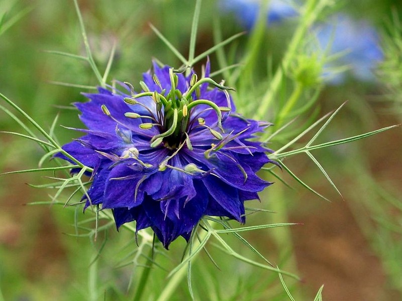 GMG_0014.jpg