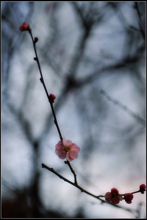 DSC_5783.JPG