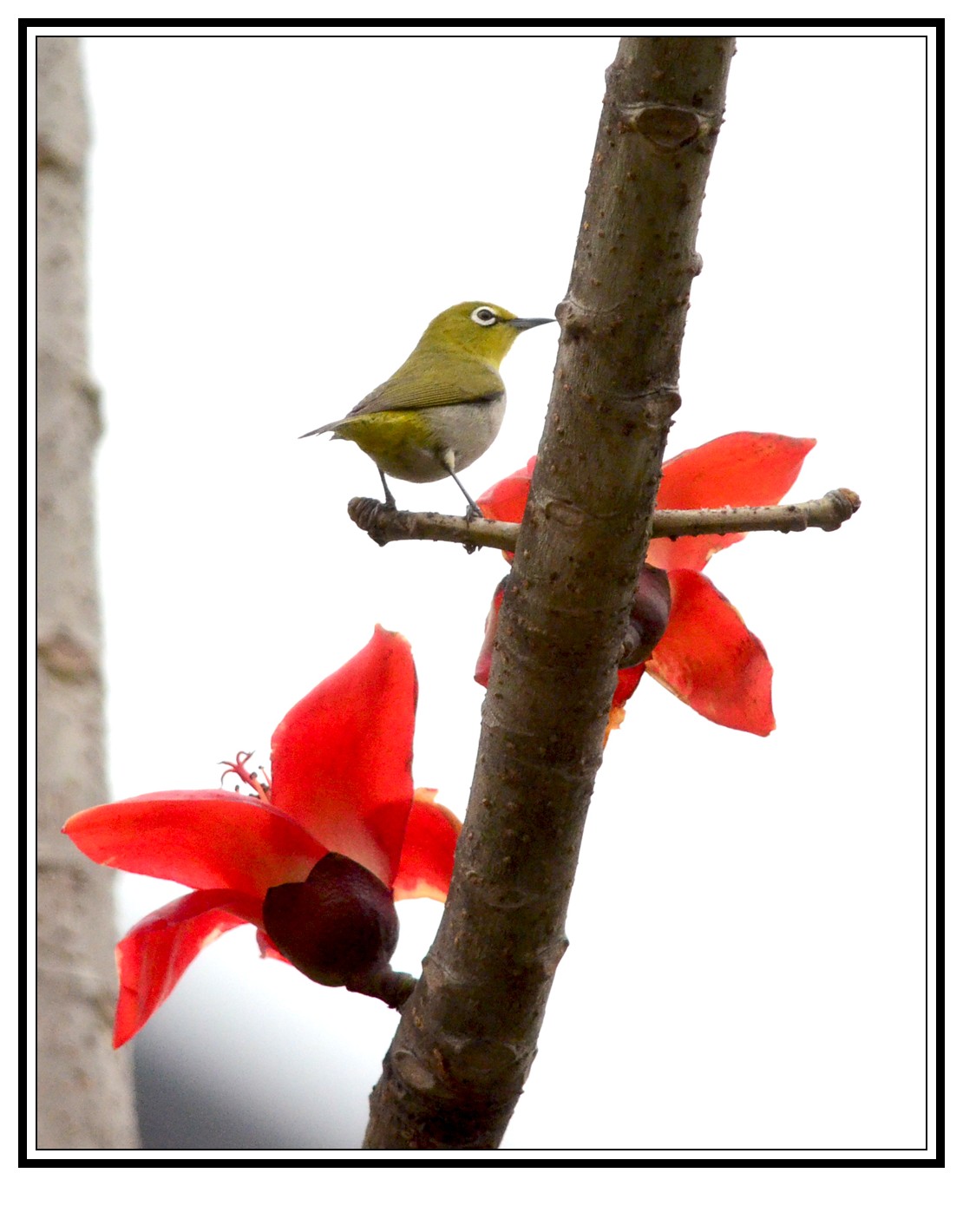 DSC_0012_conew1.jpg