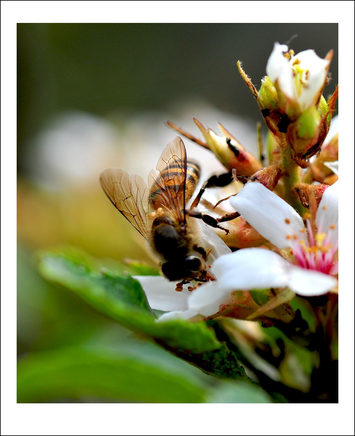 DSC_6139_conew1.jpg