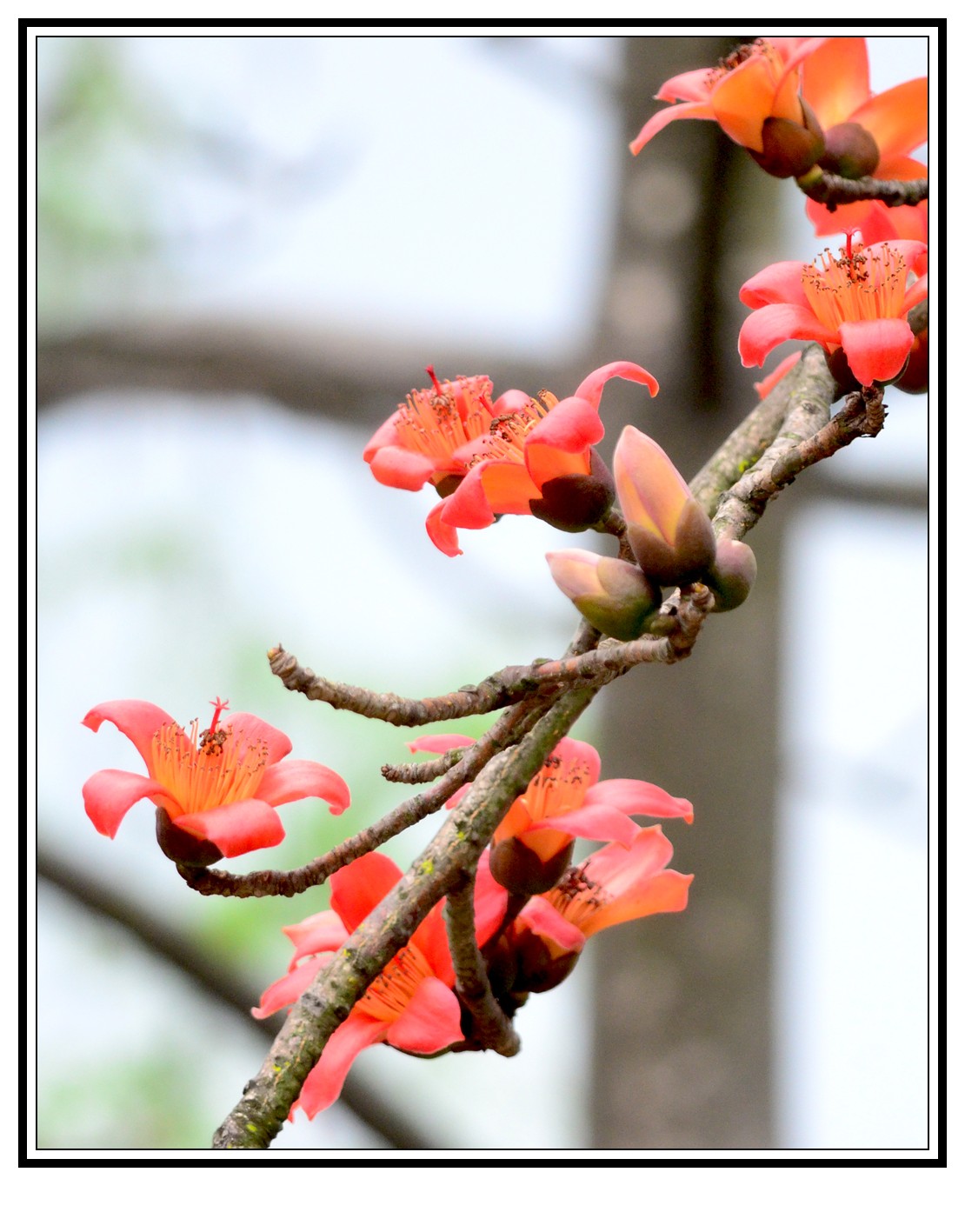 DSC_9319_conew1.jpg