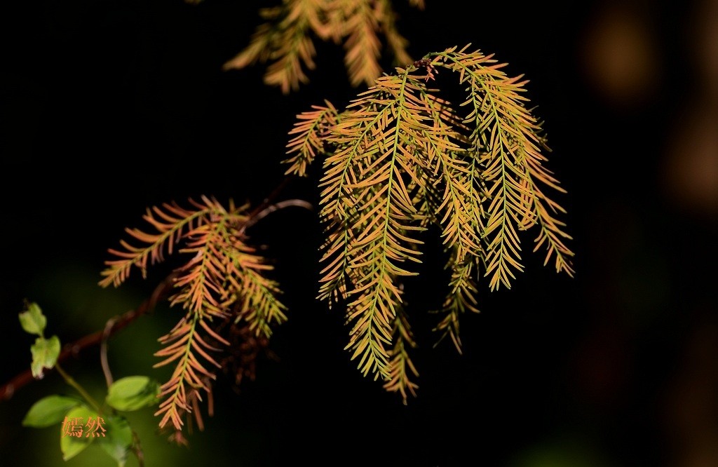 QQͼƬ20140420131634.jpg